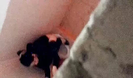 Pokemon Porno film manga erotici