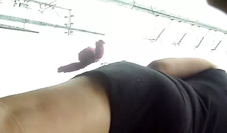 Doppia penetrazione in негритоску video erotici raffinati