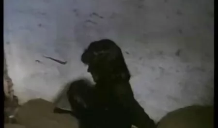 La vedova Scopa Con filmi erotici online Рипером da Овервотч